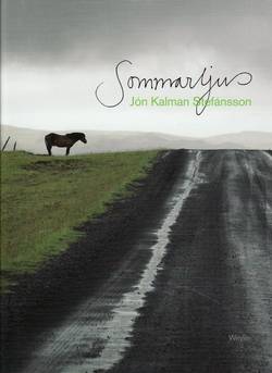 Sommarljus och sen kommer natten