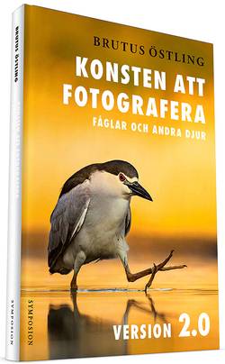 Konsten att fotografera fåglar och andra djur : version 2.0