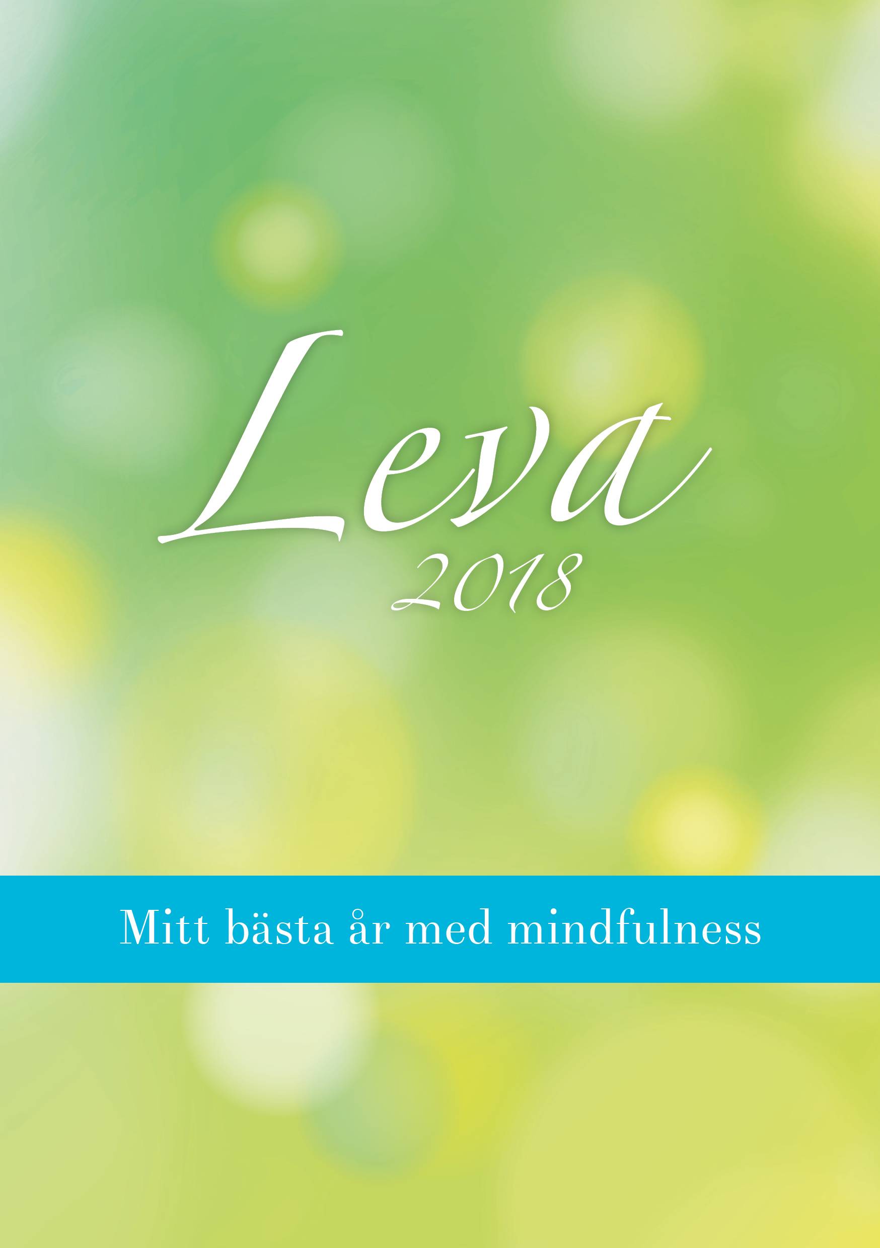 Leva 2018: Mitt bästa år med mindfulness