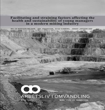 Facilitating and straining factors affecting the health and sustainability of young managers in a modern mining industry : self-fulfilment and development - a buffer for young managers?