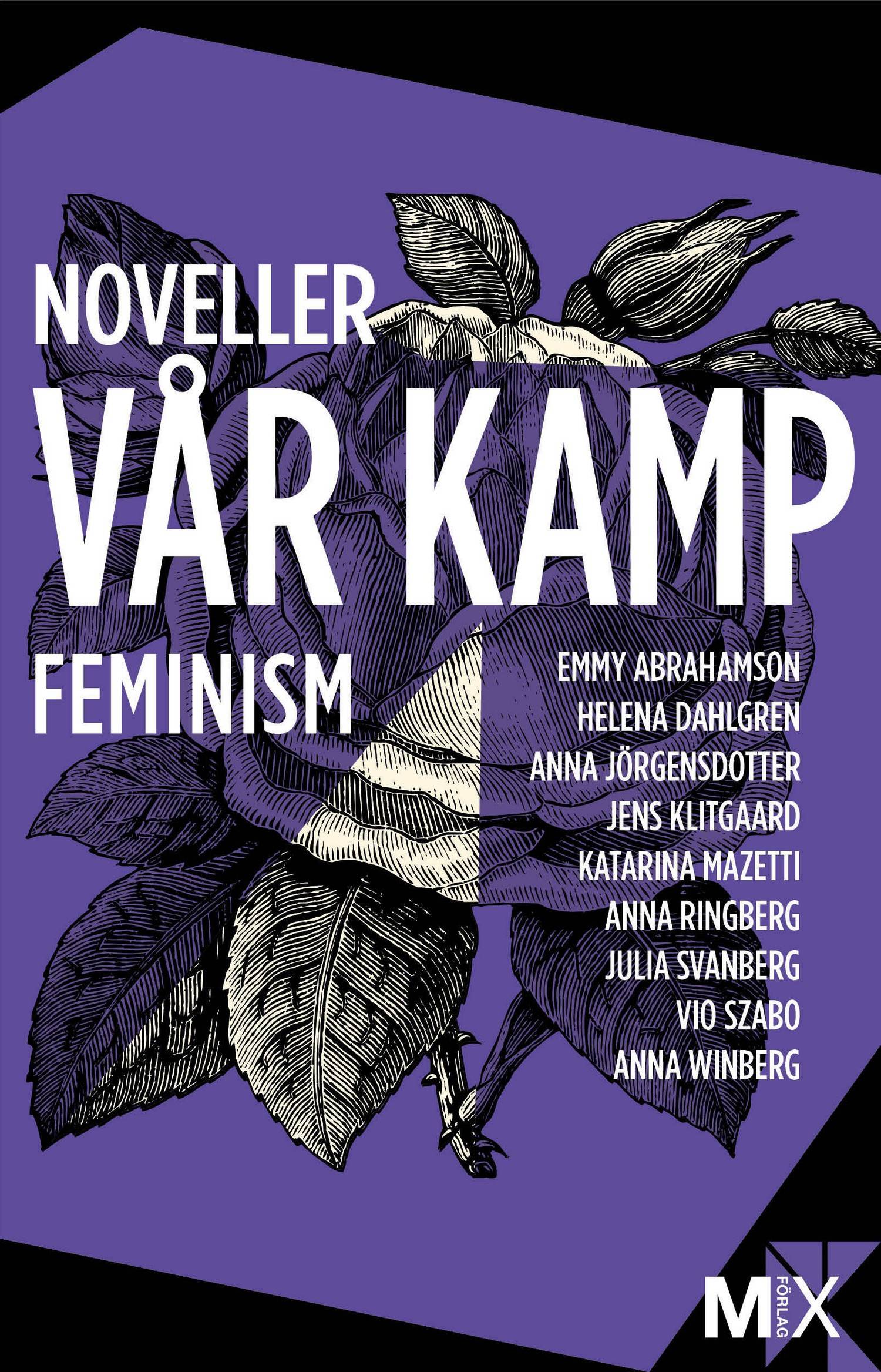 Vår kamp : feministiska noveller