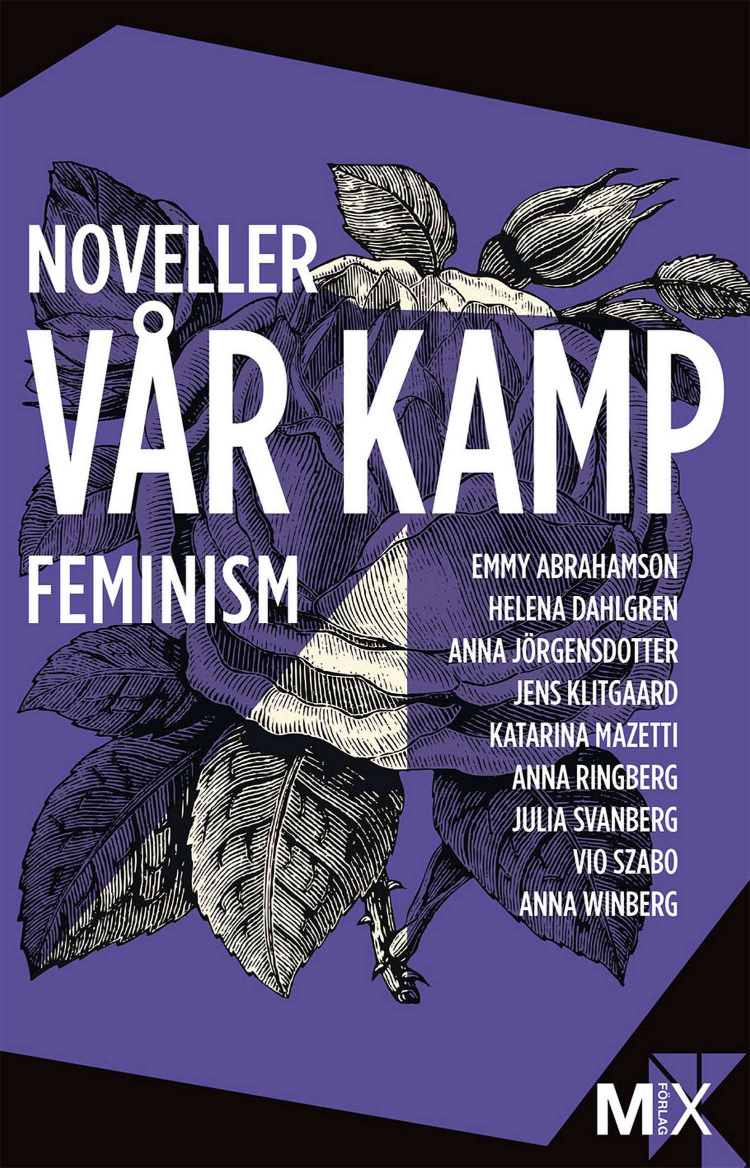 Vår kamp : feministiska noveller