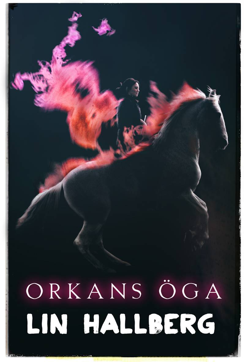 Orkans öga