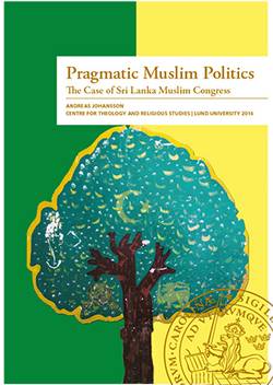 Pragmatic Muslim Politics