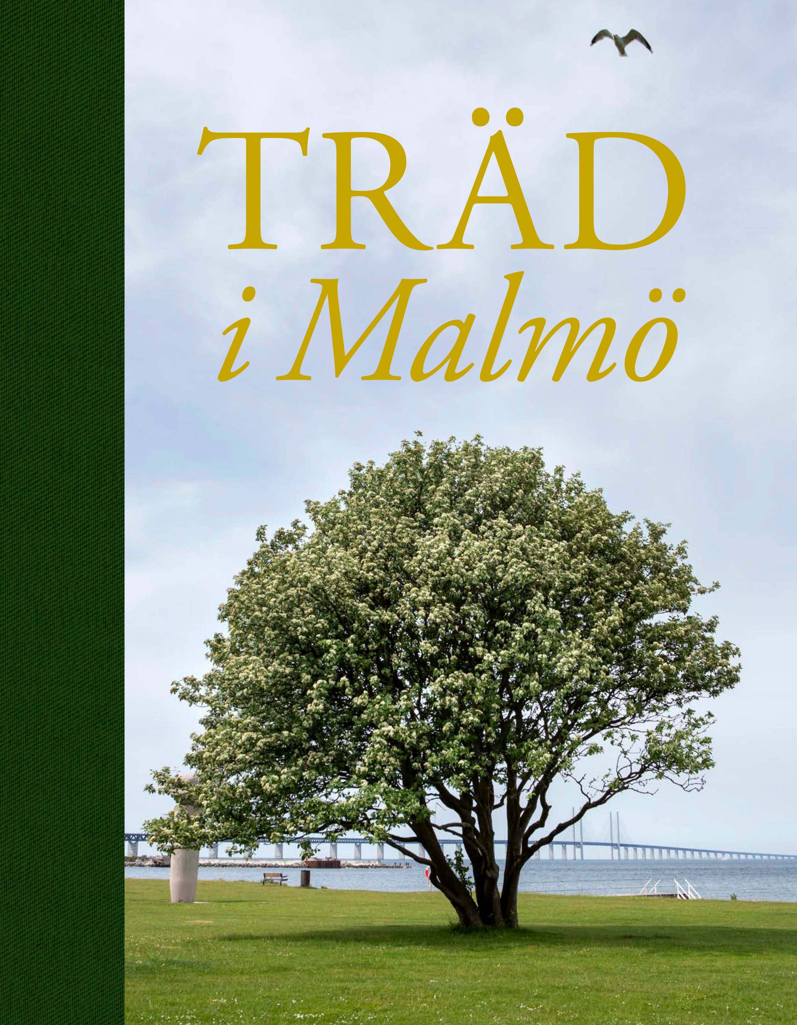 Träd i Malmö