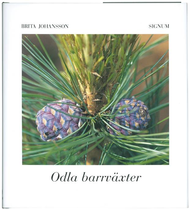 Odla barrväxter