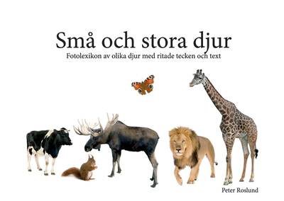 Små och stora djur