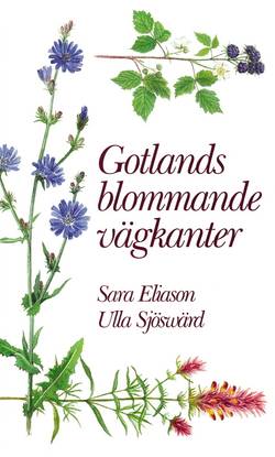 Gotlands blommande vägkanter