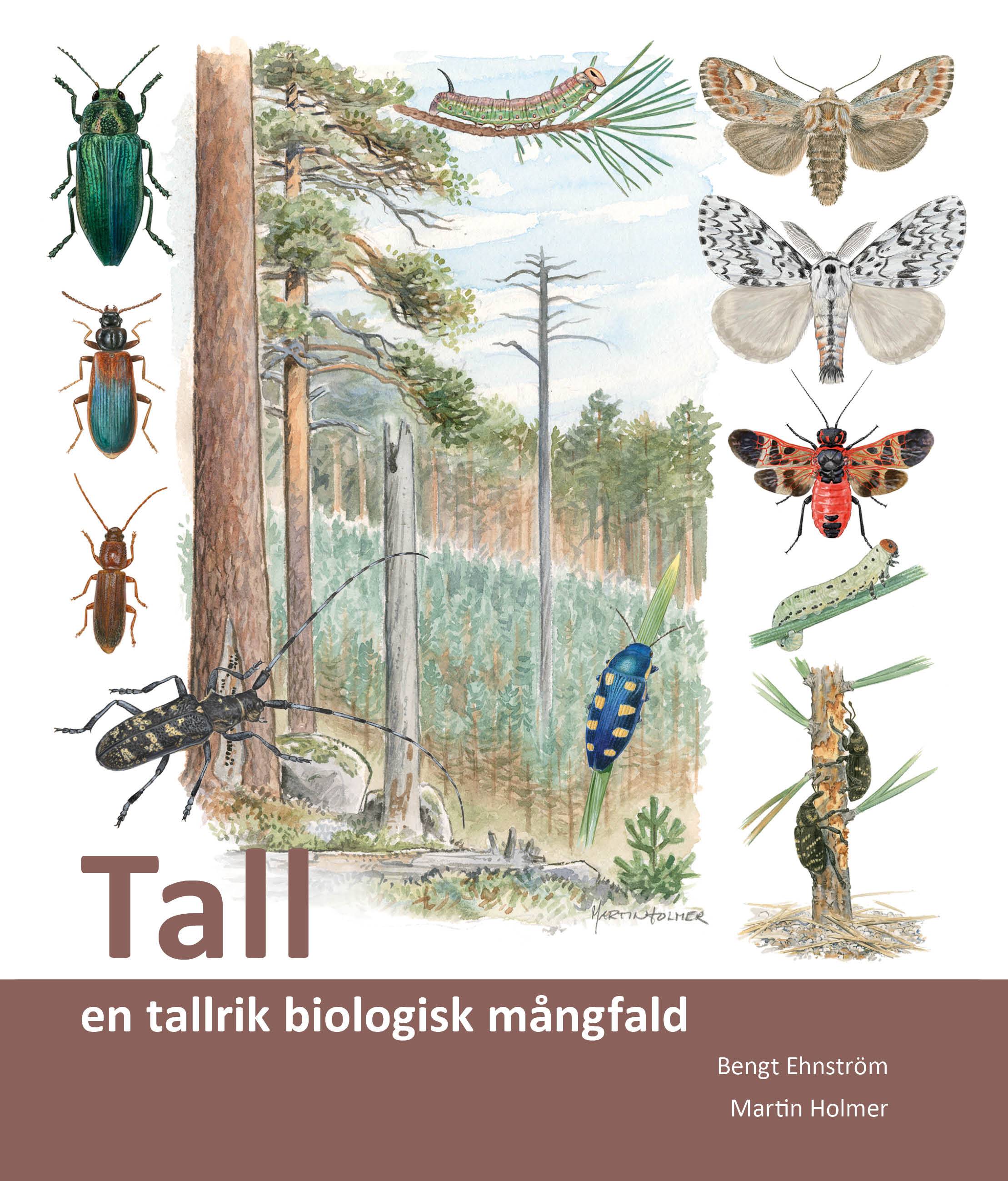 Tall : en tallrik biologisk mångfald