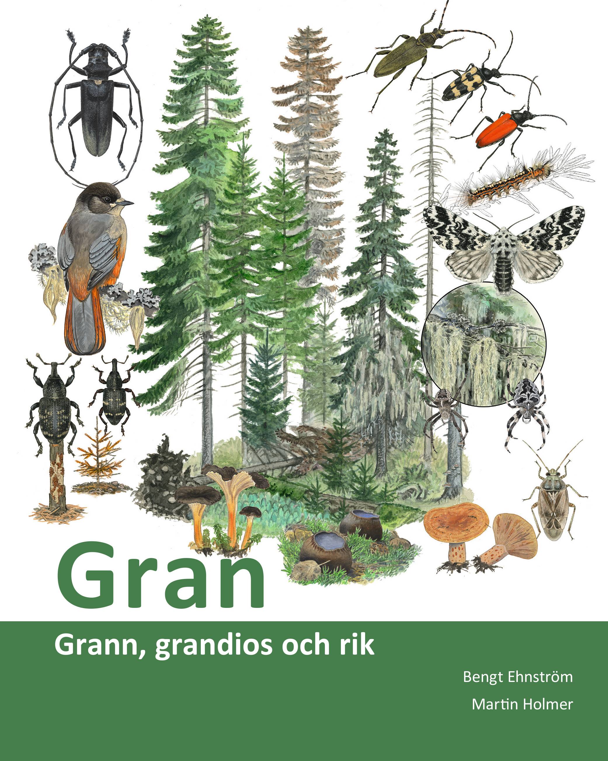 Gran : grann, grandios och rik