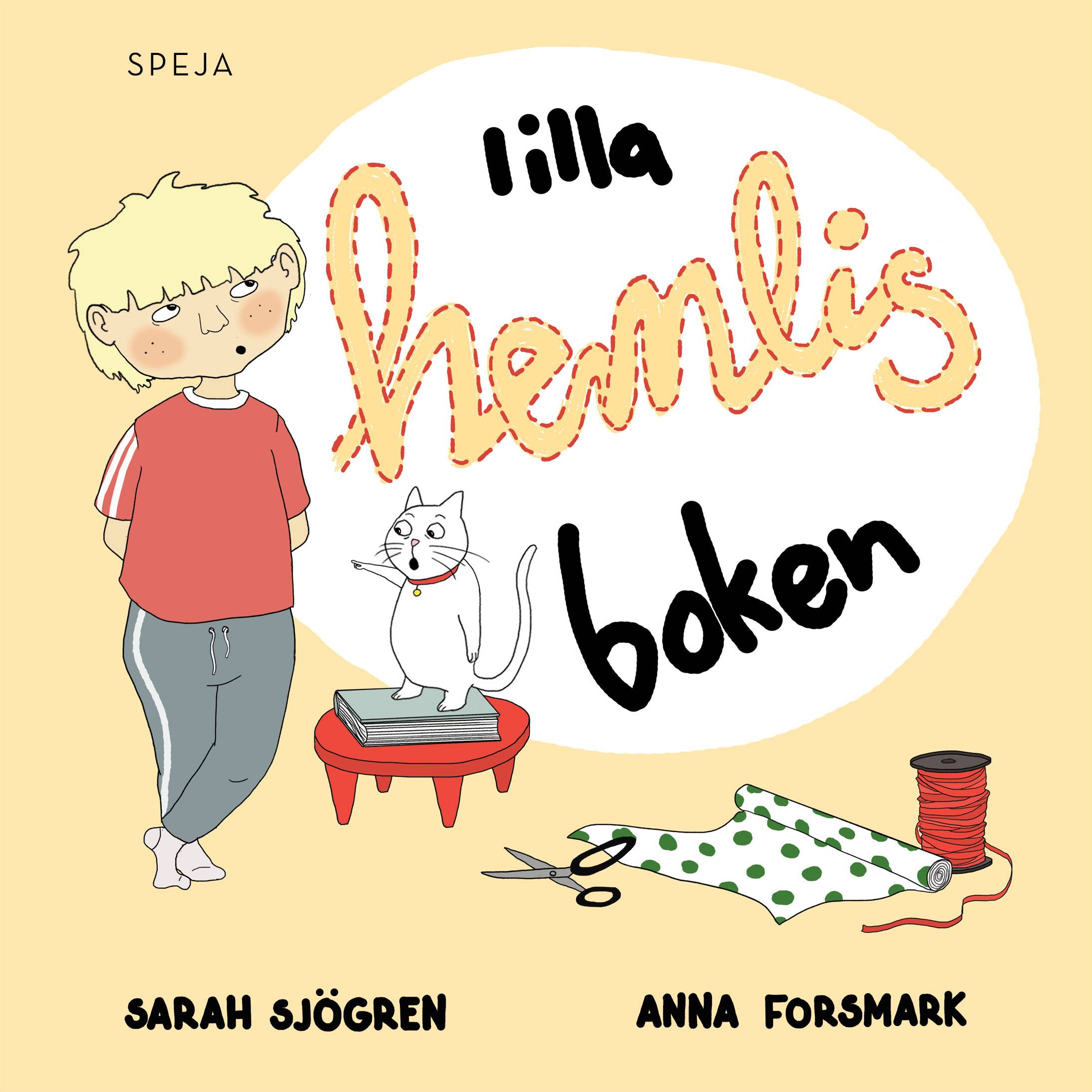 Lilla hemlis-boken