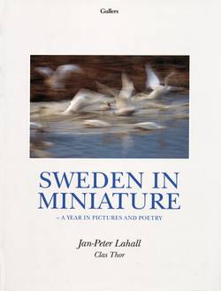 Sweden in miniature