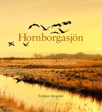 Hornborgasjön : Lockelsens landskap