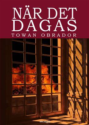 När det dagas : historisk roman från Gotlands 1600-tal ca 1603 - 1610