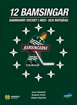 12 Bamsingar - Hammarby Hockey i med- och motgångar