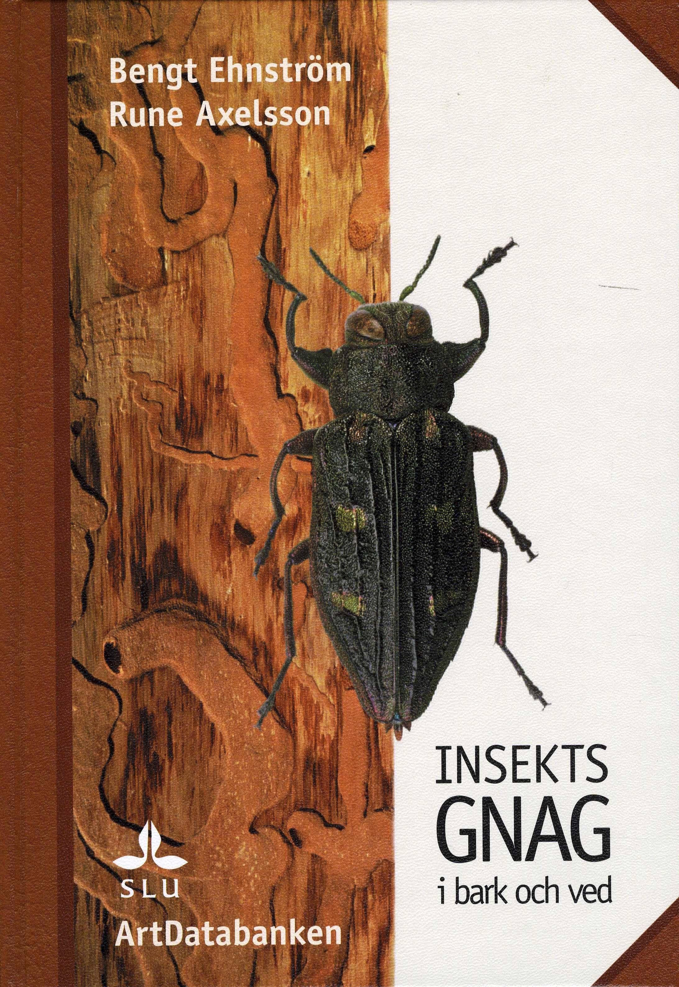 Insektsgnag i bark och ved