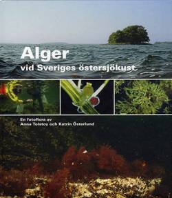 Alger vid Sveriges östersjökust : en fotoflora