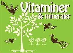 Hälsoserien: Vitaminer och mineraler