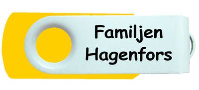 Familjen Hagenfors USB