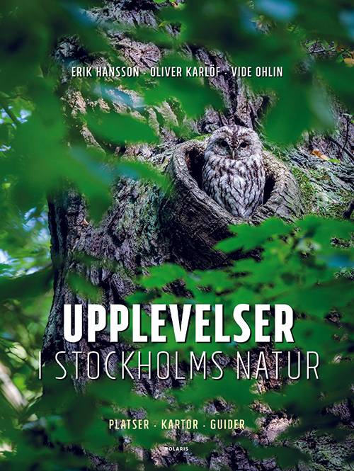 Upplevelser i Stockholms natur