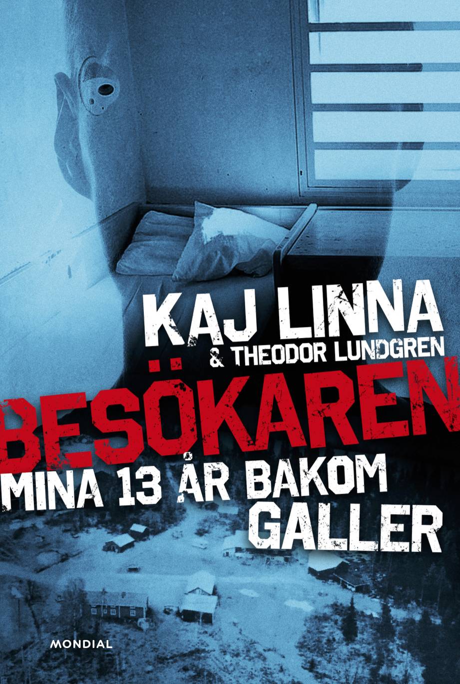 Besökaren : mina 13 år bakom galler