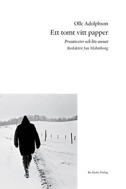 Ett tomt vitt papper : prosatexter och lite annat