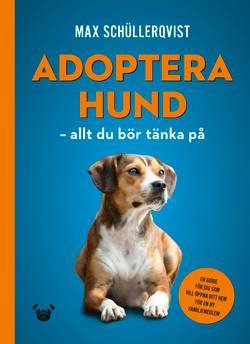 Adoptera hund : allt du bör tänka på