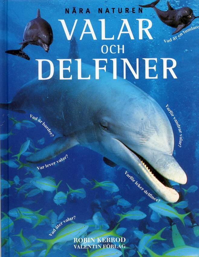 Valar och delfiner, Nära Naturen