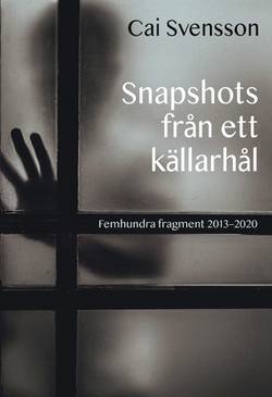 Snapshots från ett källarhål