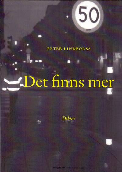 Det finns mer : dikter på svenska och engelska