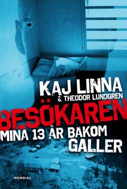 Besökaren : mina 13 år bakom galler