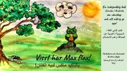 Visst har Max flax på (arabiska och svenska)