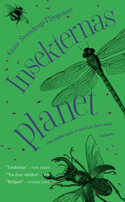 Insekternas planet