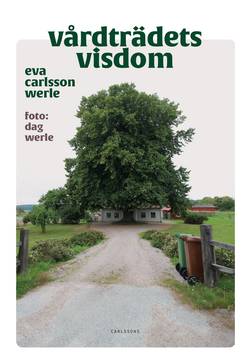 Vårdträdets visdom : svenska vårdträd i folktro och tradition