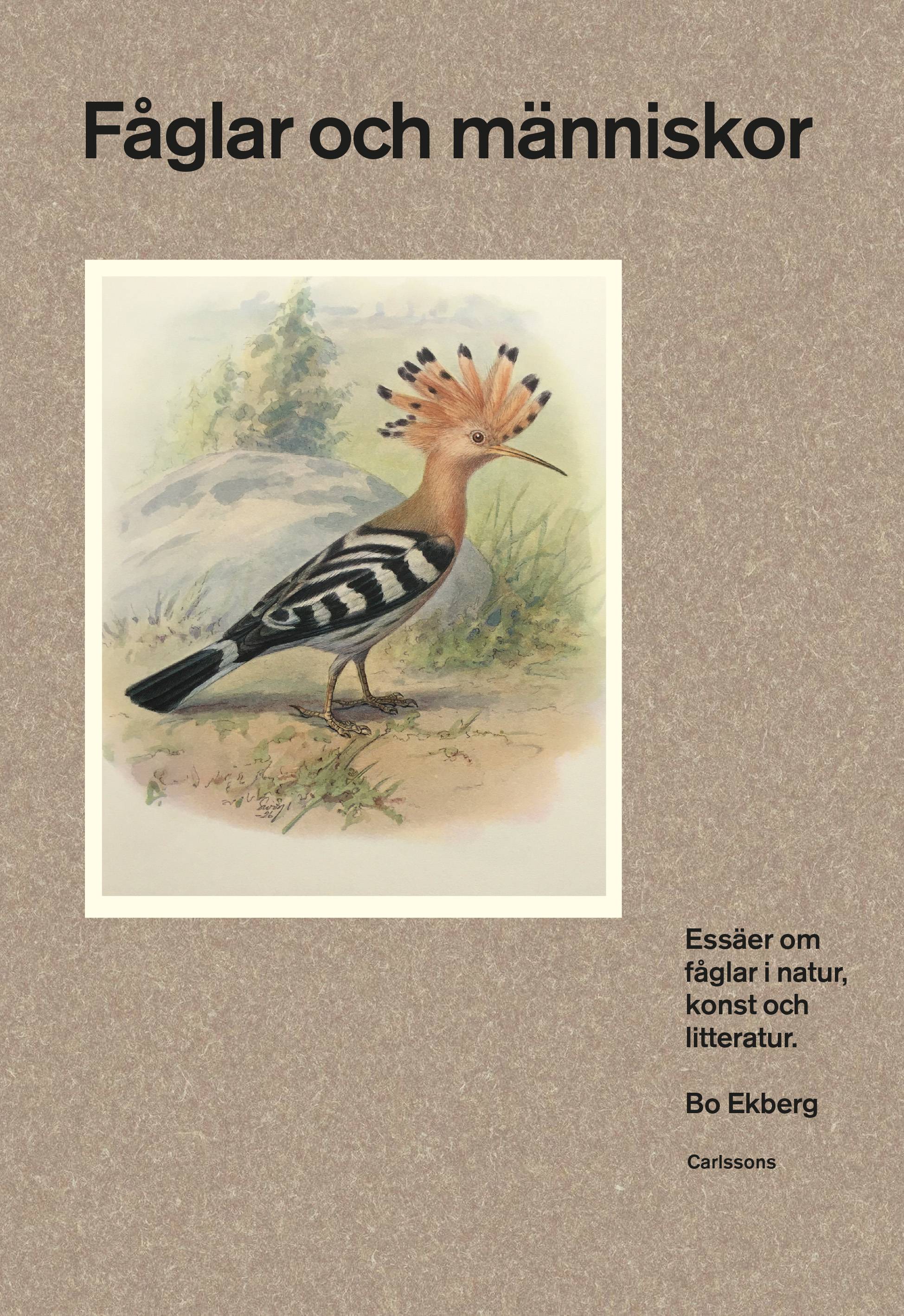 Fåglar och människor : essäer om fåglar i natur, konst och litteratur