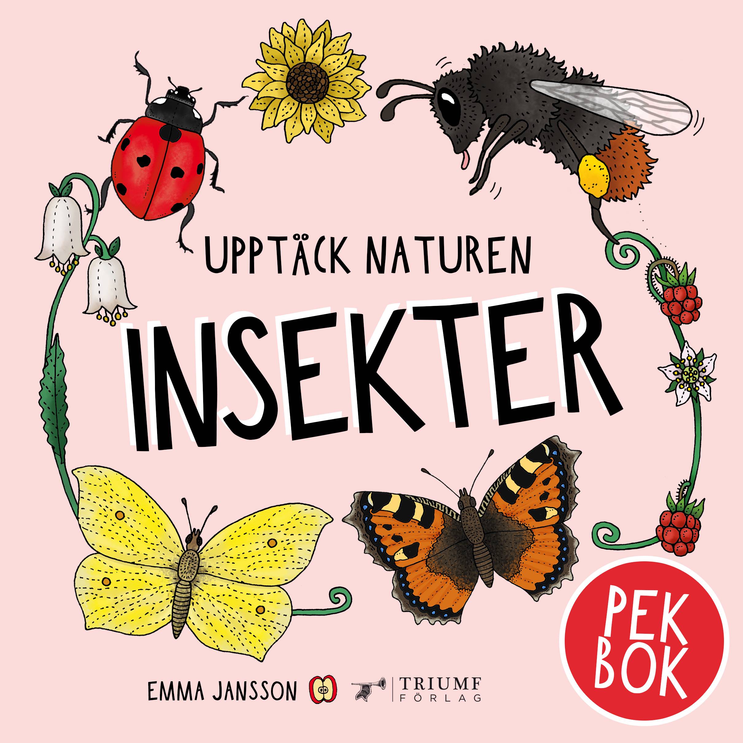 Insekter : pekbok