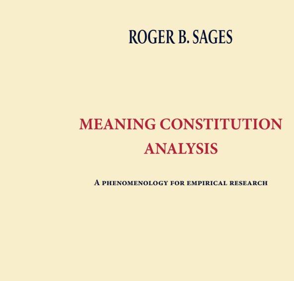 Meaning constitution analysis