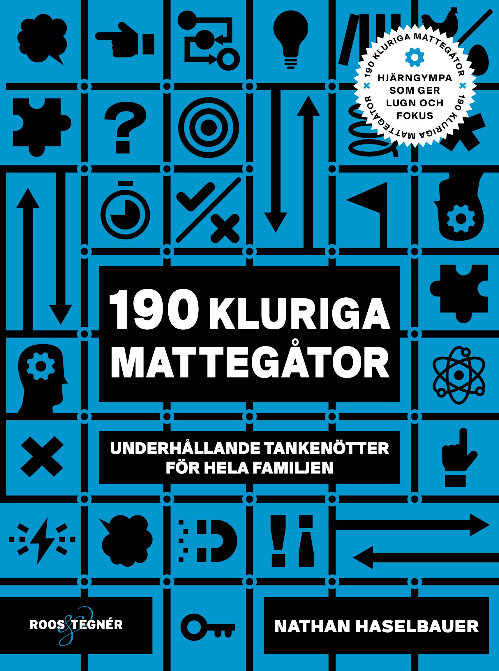 190 kluriga mattegåtor : underhållande tankenötter för hela familjen