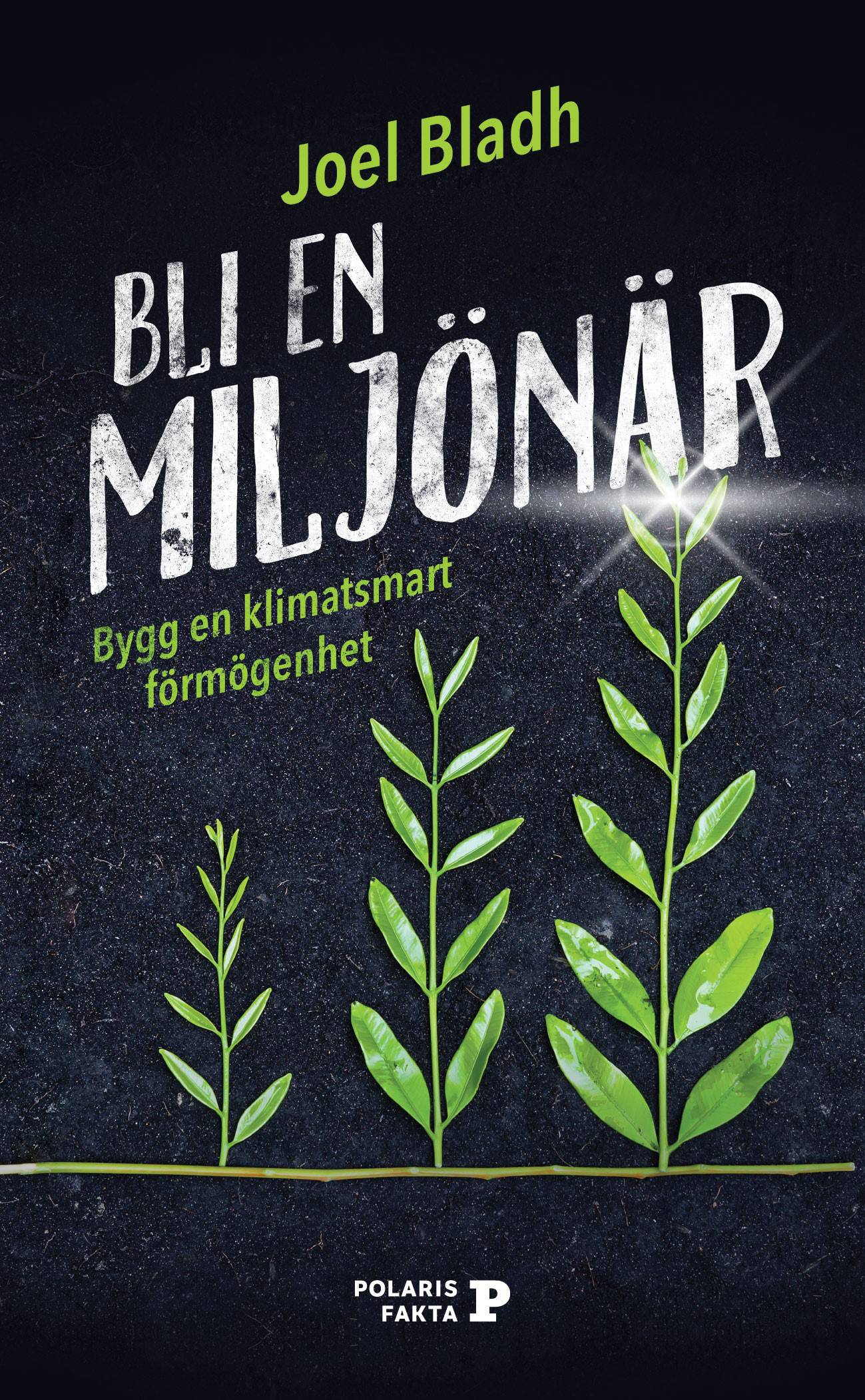 Bli en miljönär : bygg en klimatsmart förmögenhet