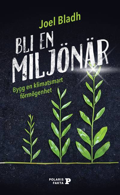 Bli en miljönär : bygg en klimatsmart förmögenhet