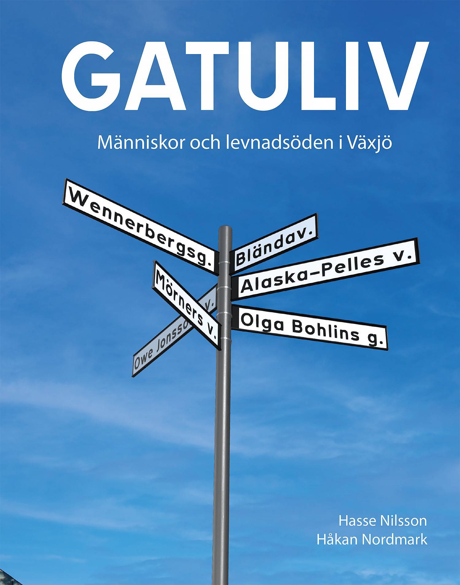 Gatuliv : människor och levnadsöden i Växjö