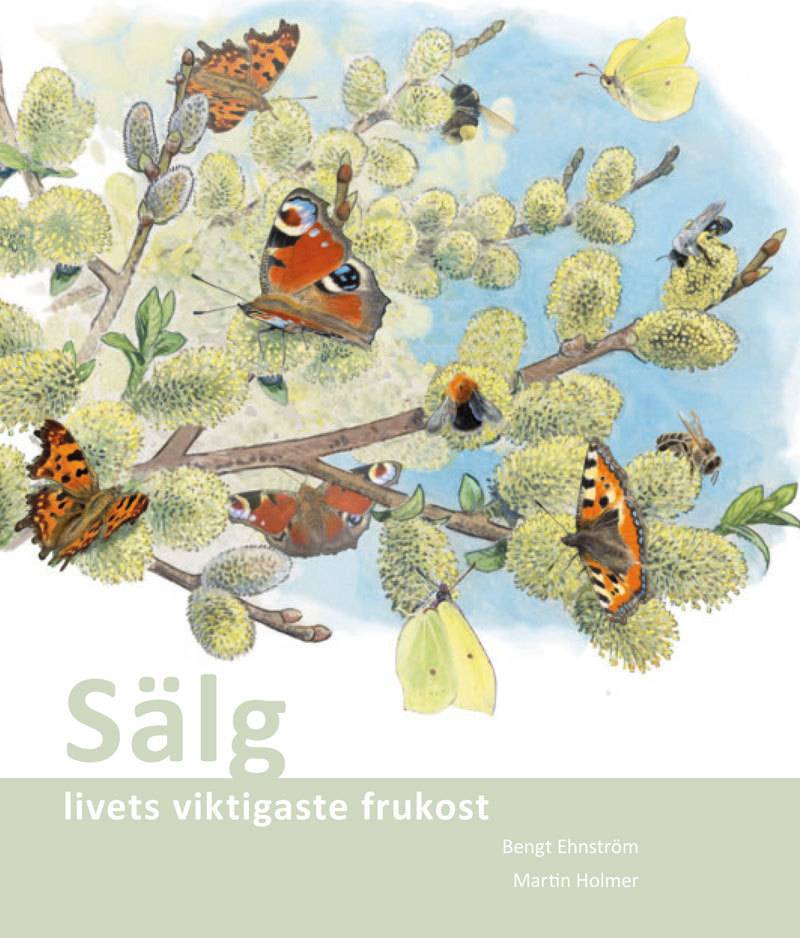 Sälg : livets viktigaste frukost