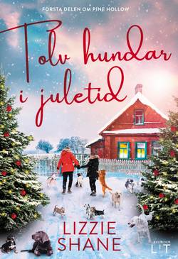 Tolv hundar i juletid