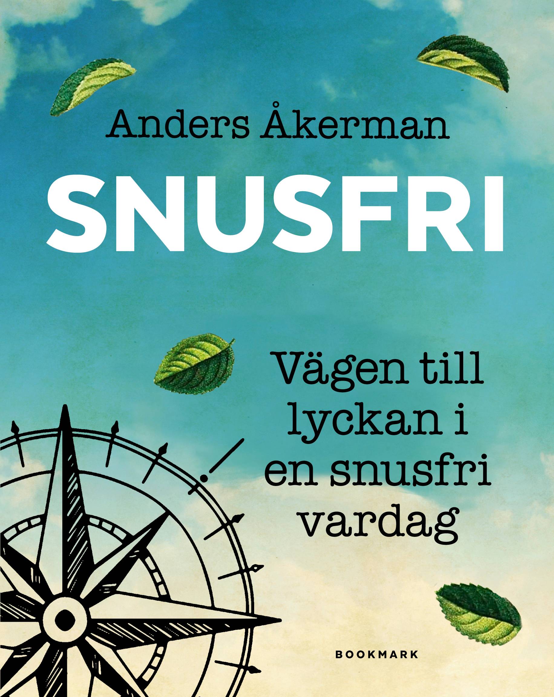 Snusfri : vägen till lyckan i en snusfri vardag