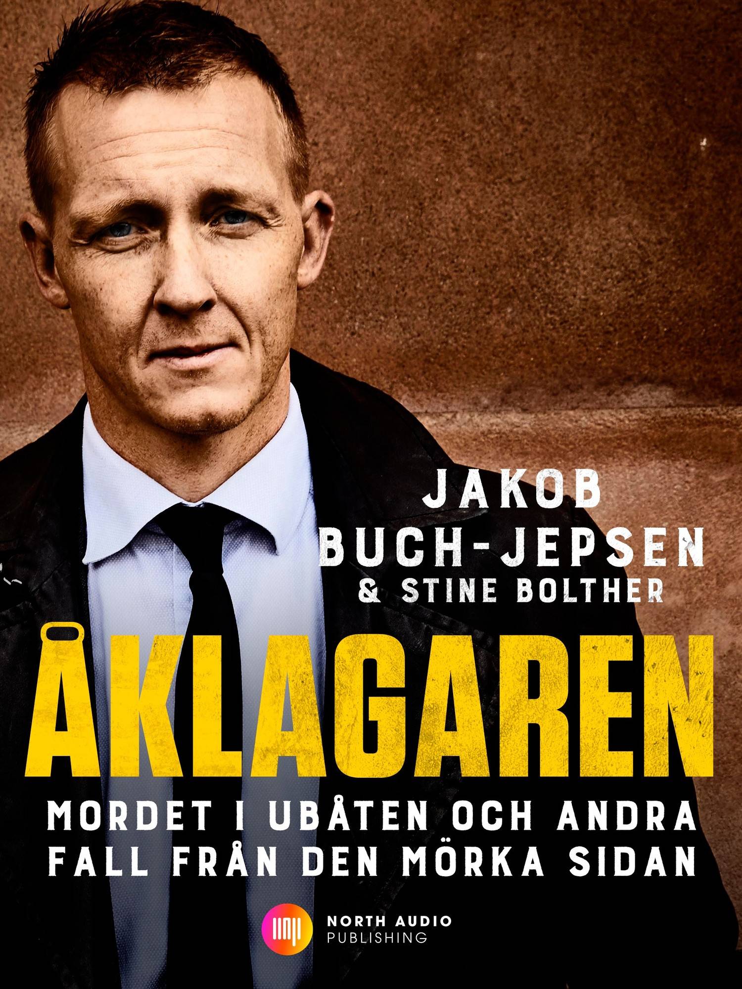 Åklagaren : mordet i ubåten och andra fall från den mörka sidan