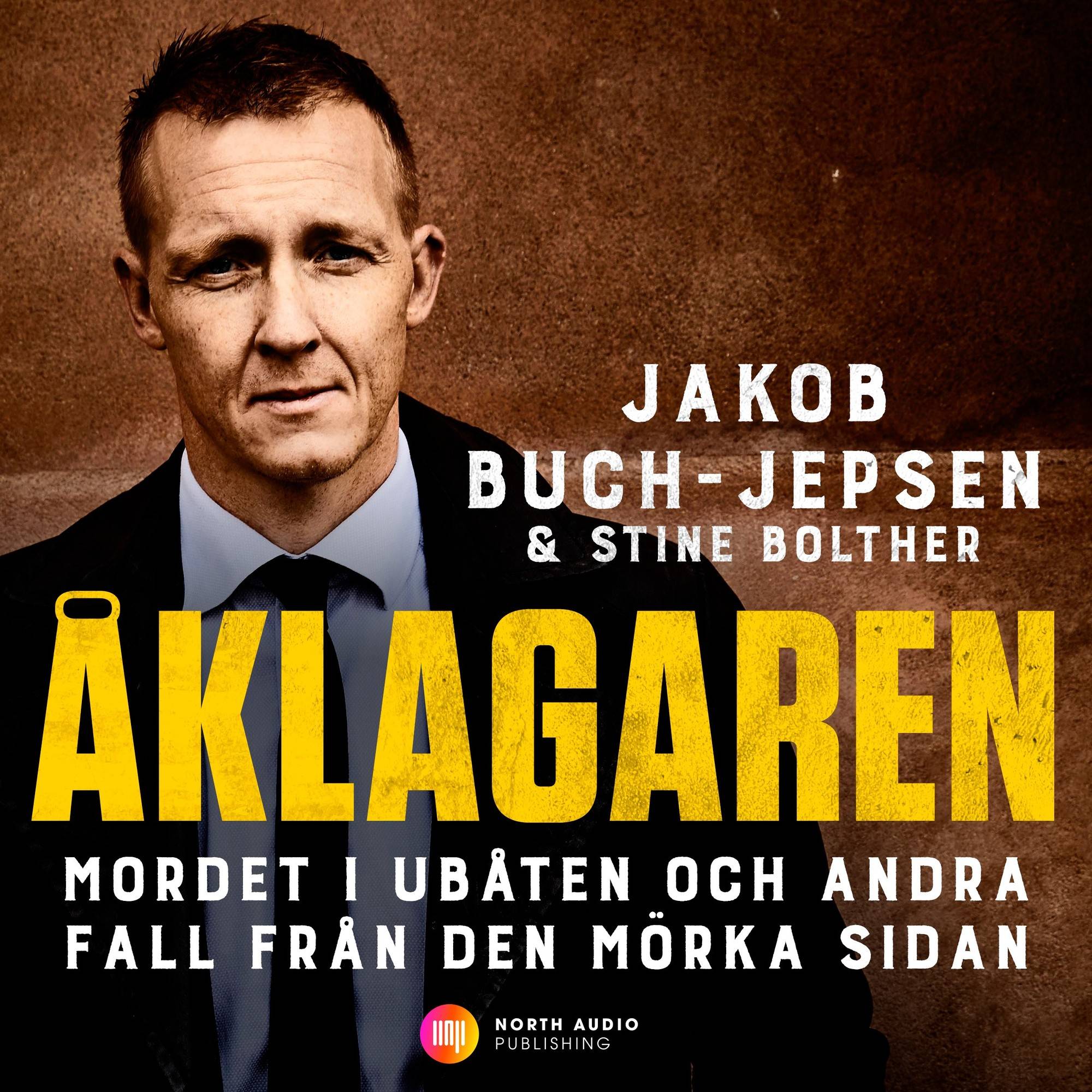 Åklagaren : mordet i ubåten och andra fall från den mörka sidan
