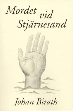 Mordet vid Stjärnesand : en dokumentärroman