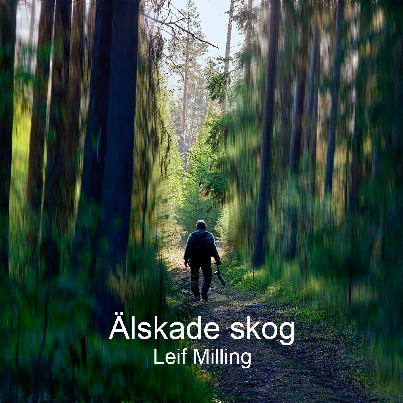 Älskade skog