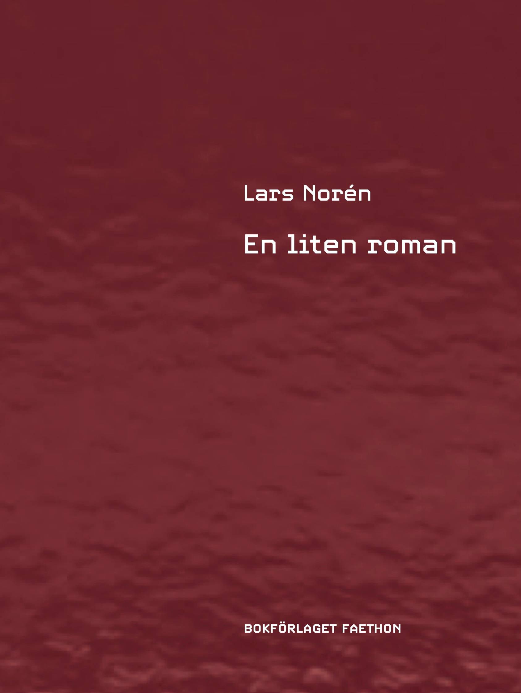 En liten roman