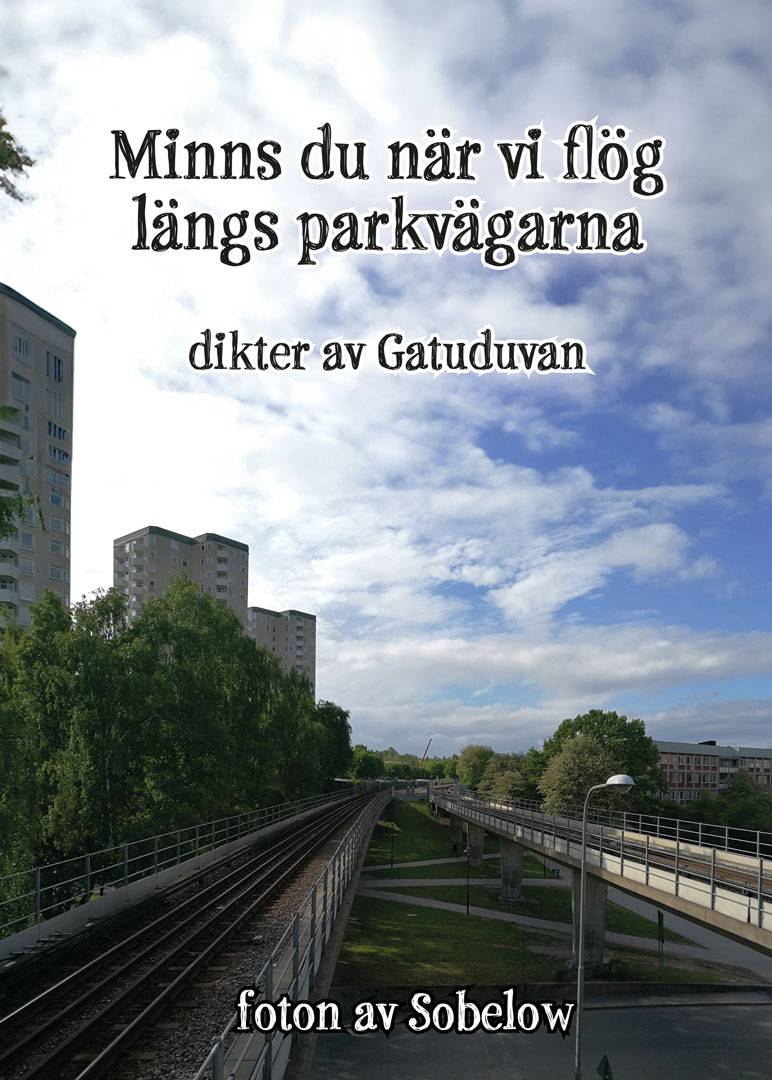 Minns du när vi flög längs parkvägarna